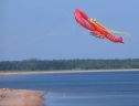 Homard géant de Premier kites