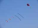 Marion Steeves' kite