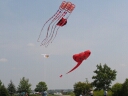 Kite Demonstration Downtown Moncton