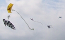 Pierre Fabre (France), Marion Steeves (Canada) and other kites