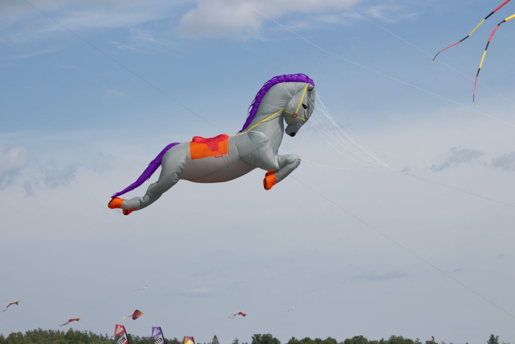 IMG_9200m_yh.jpg: Festival ImaginaAIR 2019