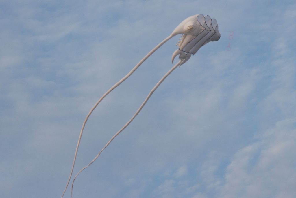 IMG_9208m_yh.jpg: Festival ImaginaAIR 2019
